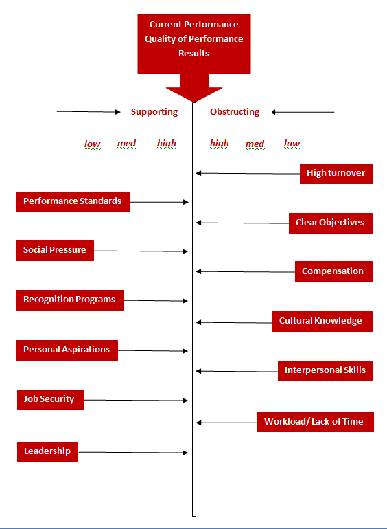 GBP-Audit-Process